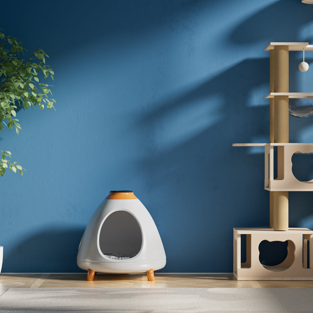 Rocket Exterior Pet Bed